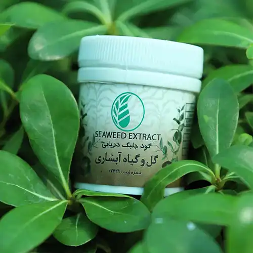 کود جلبک دریایی 20 گرمی