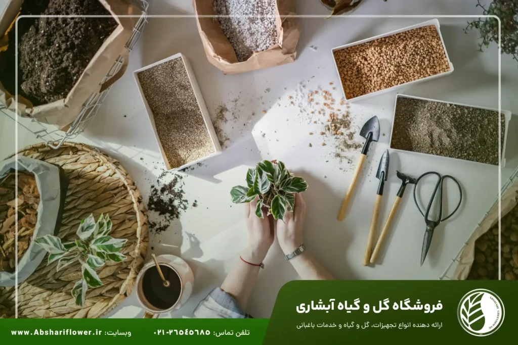 کود تقویتی آلی (ارگانیک)