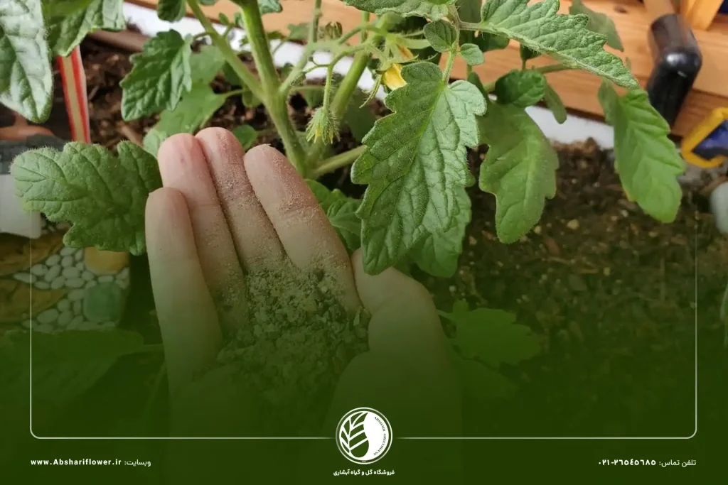 بهترین زمان استفاده از کود کامل