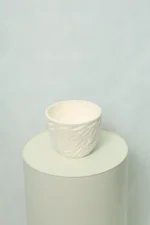 گلدان سرامیک برگی سایز کوچک رنگ سفید(داستر)