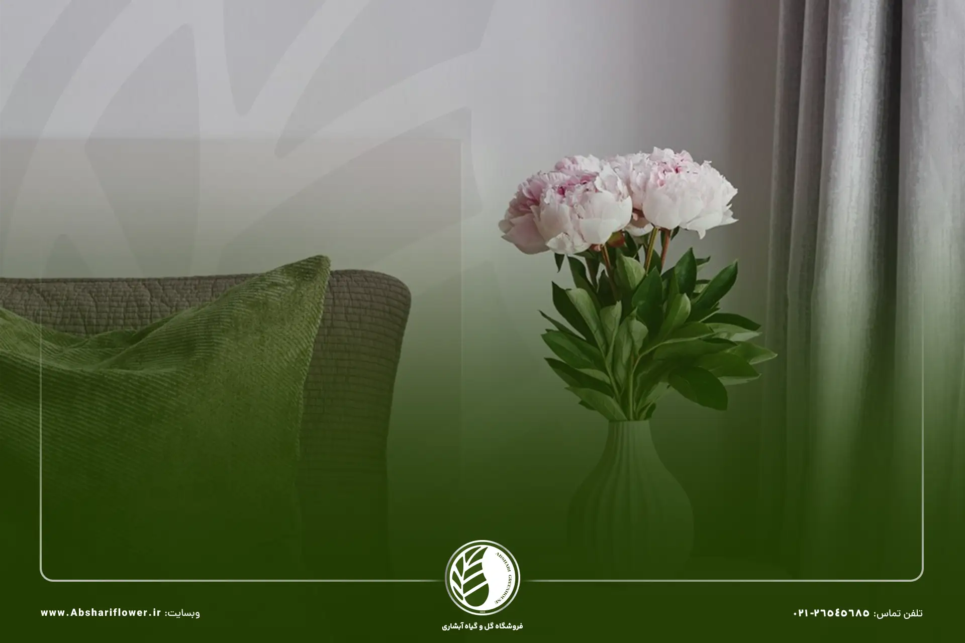 نکات گیاهان اتاق خواب