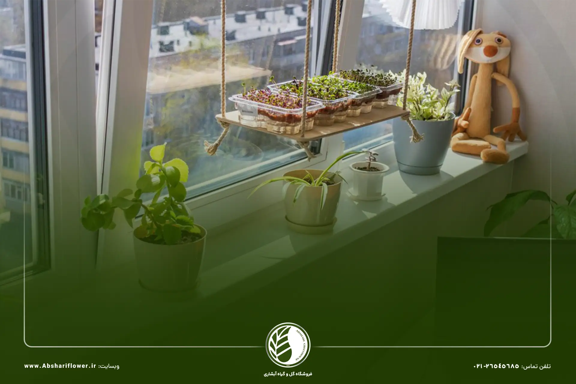 تمیز کردن گیاهان اتاق خواب