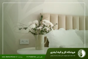 گیاهان مناسب اتاق خواب