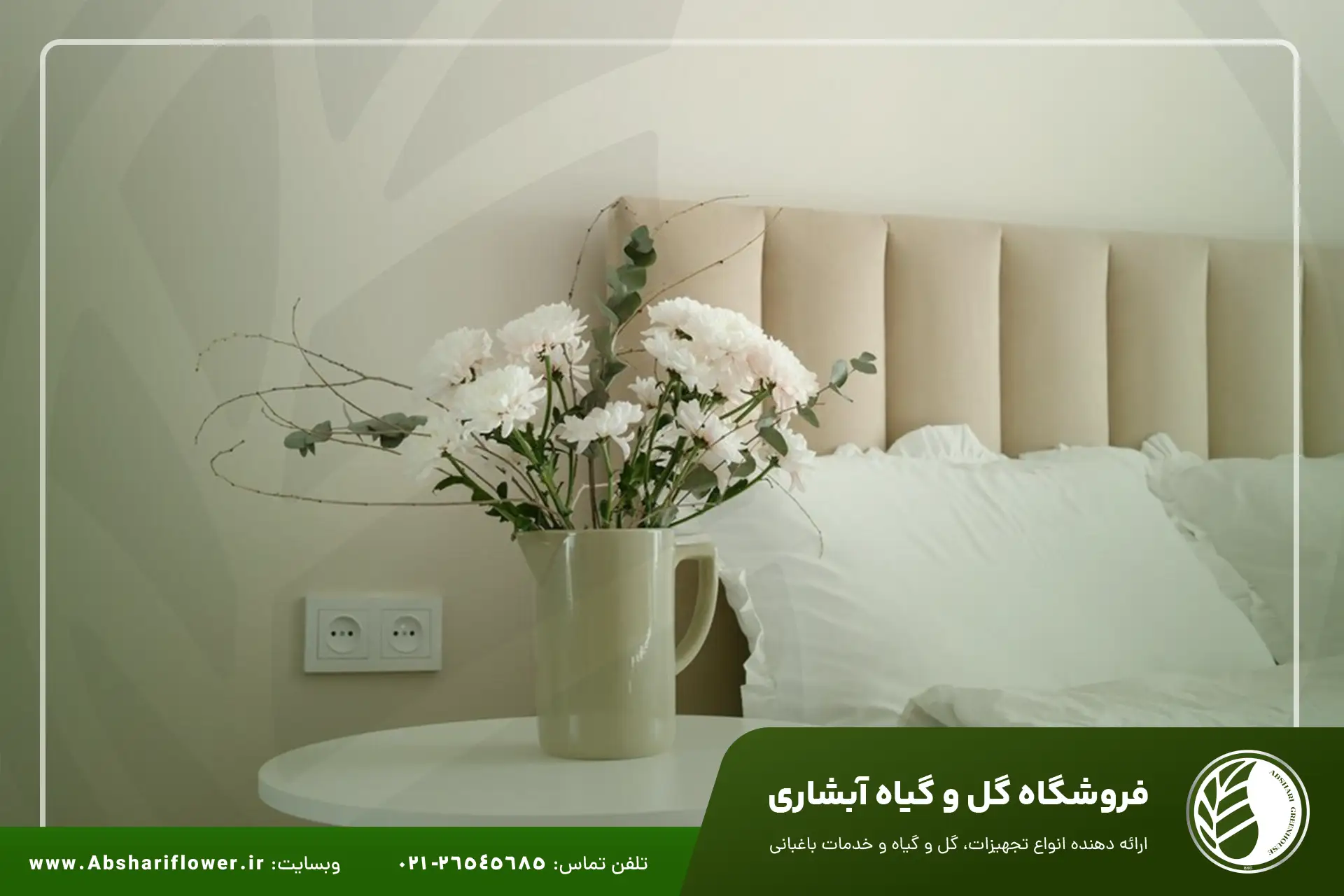گیاهان مناسب اتاق خواب