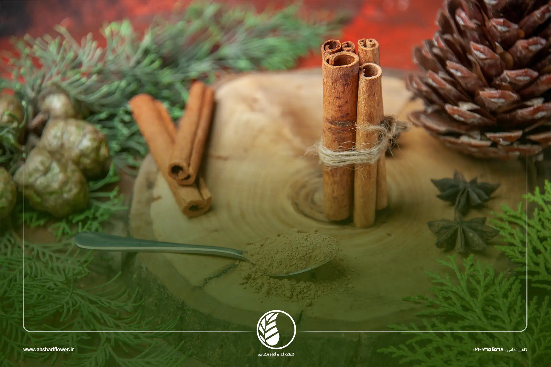 دارچین برای سانسوریا