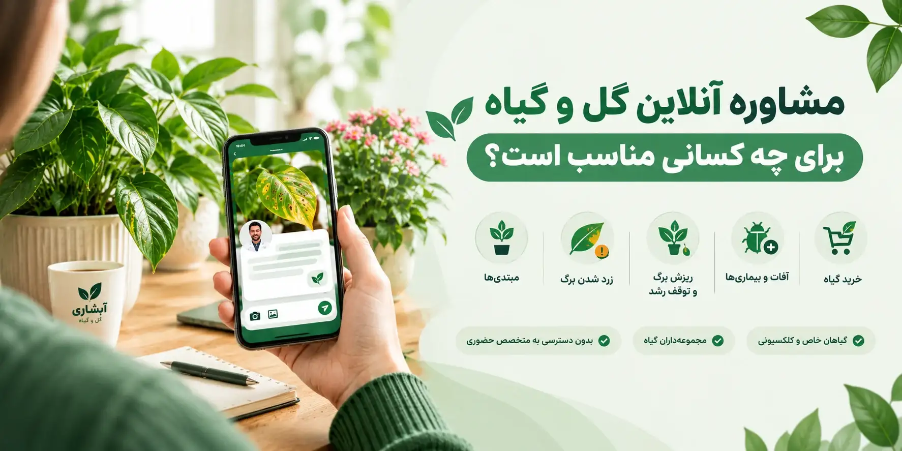 مشاوره آنلاین گل و گیاه برای چه کسانی مناسب است؟