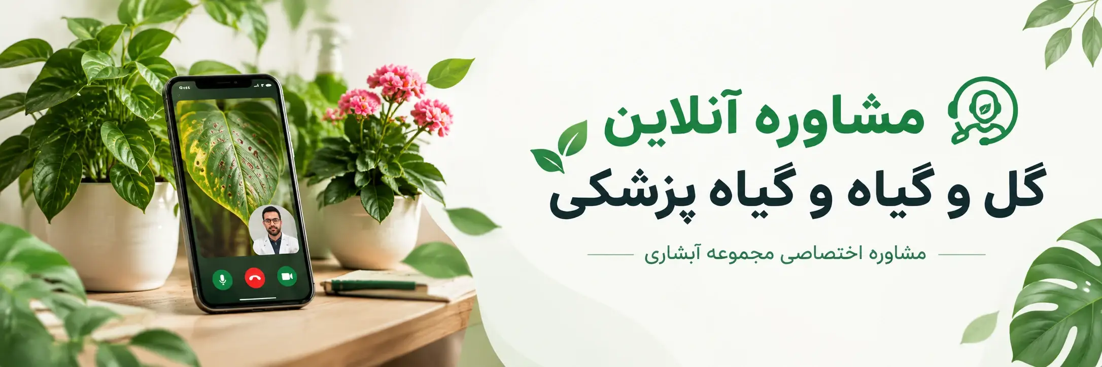 مشاوره و اورژانس گل و گیاه آنلاین آبشاری